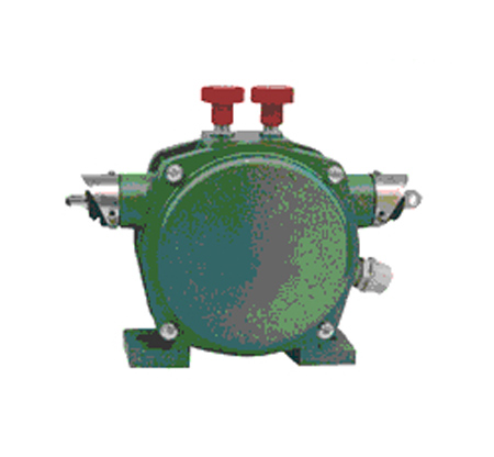 水泥廠出貨裝車線雙向拉繩開關WSK-20-450VACDC